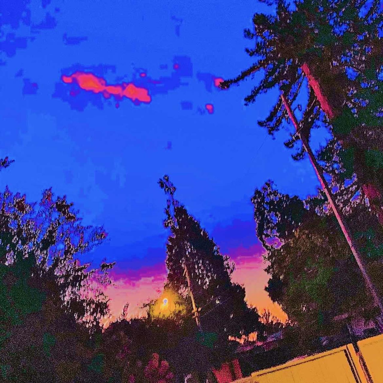 A washed out, overly-warm-colored photograph of trees and the sky