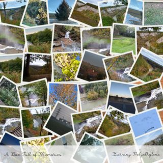 A collage of various photographs of nature