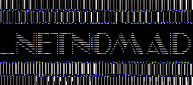 _NetNomad written out in pixelated Broadway font surrounded by random blue and purple pixels and two strips of black and white